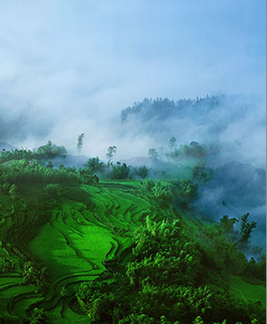 天天堅(jiān)果